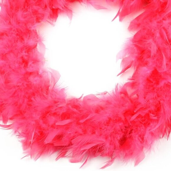 Flamingo 2 Ct Chandelle Feather Boa 70 gm 2 yds - Picture 2 of 3